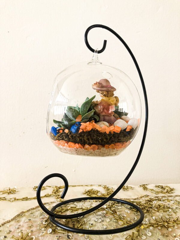 Terrarium bowl with plants - Image 4