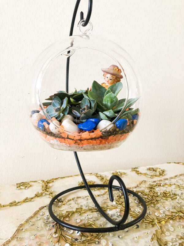 Terrarium bowl with plants