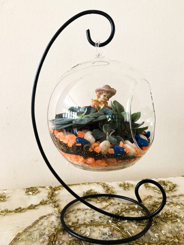 Terrarium bowl with plants - Image 3