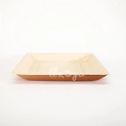 ekSya Square Regular Plate 10 inches (Pack of 25) - Image 2