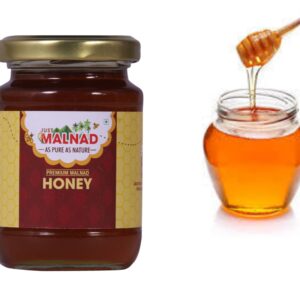 Malnad Honey - 200 g (No Preservatives, 100% Natural) Pack Of 2